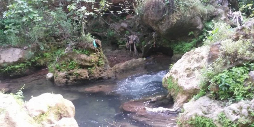 Kızıltepe Alipaşa Köyü Resimleri