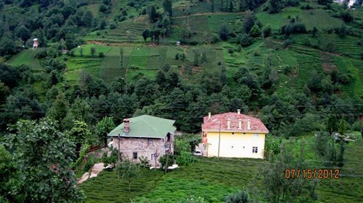 Kalkandere Çayırlı Köyü Resimleri 1