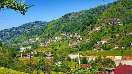 Kalkandere Çayırlı Köyü Resimleri 11