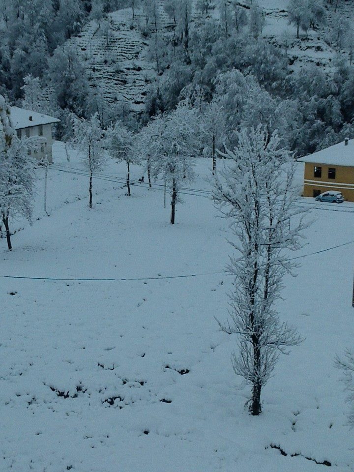 Kalkandere Çayırlı Köyü Resimleri 3