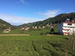 Kalkandere Çayırlı Köyü Resimleri 5