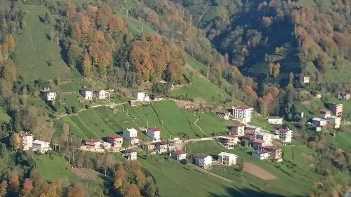 Kalkandere Çayırlı Köyü Resimleri 6