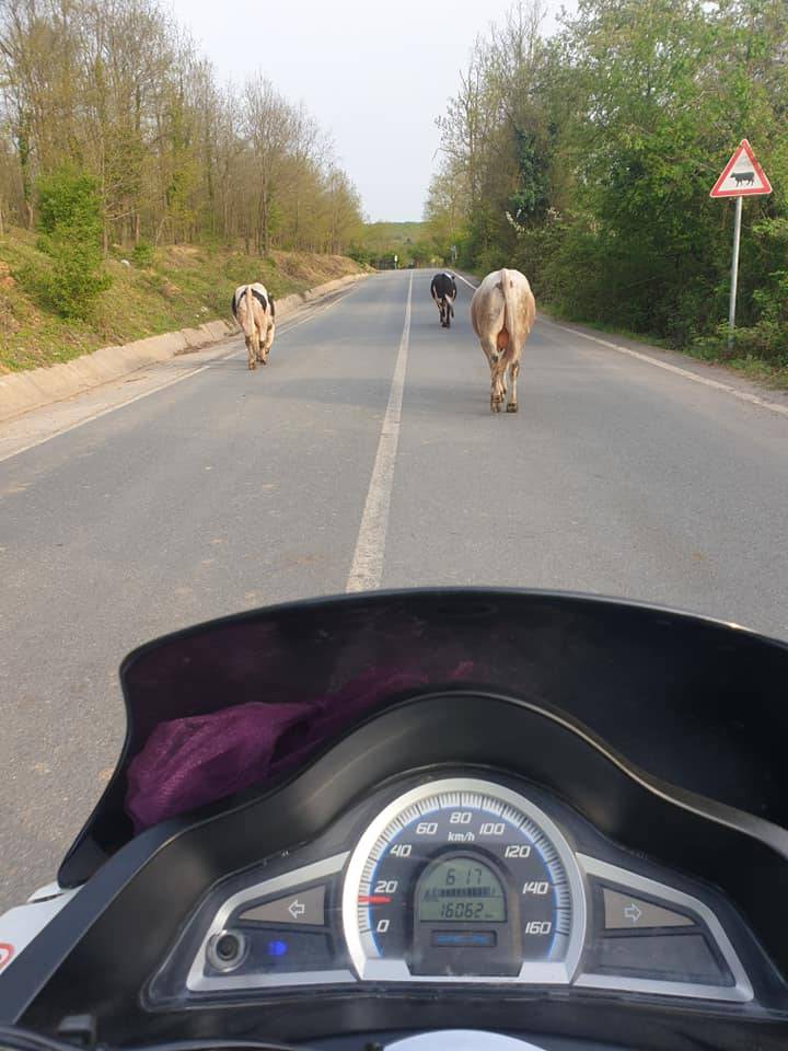 Şile Üvezli Köyü Resimleri 5