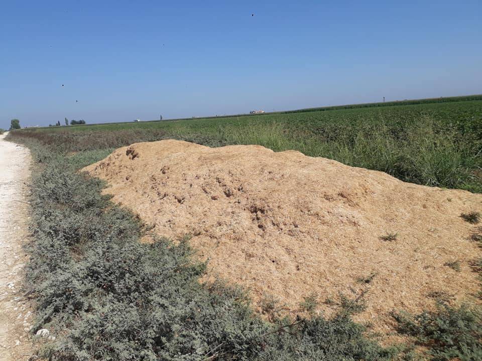 Harran Buldum Köyü Resimleri 2