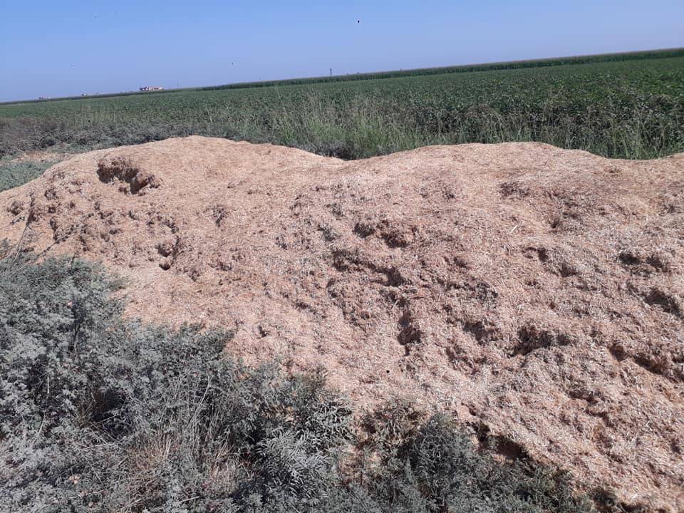 Harran Buldum Köyü Resimleri 4