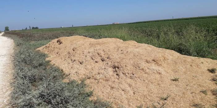 Harran Buldum Köyü Resimleri