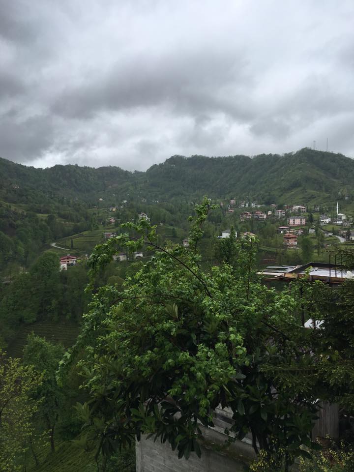 Kalkandere Dülgerli Köyü Resimleri 1