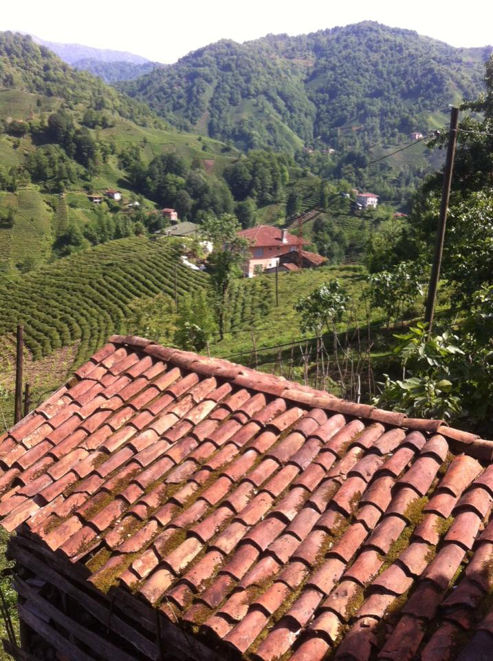 Kalkandere Dülgerli Köyü Resimleri 7