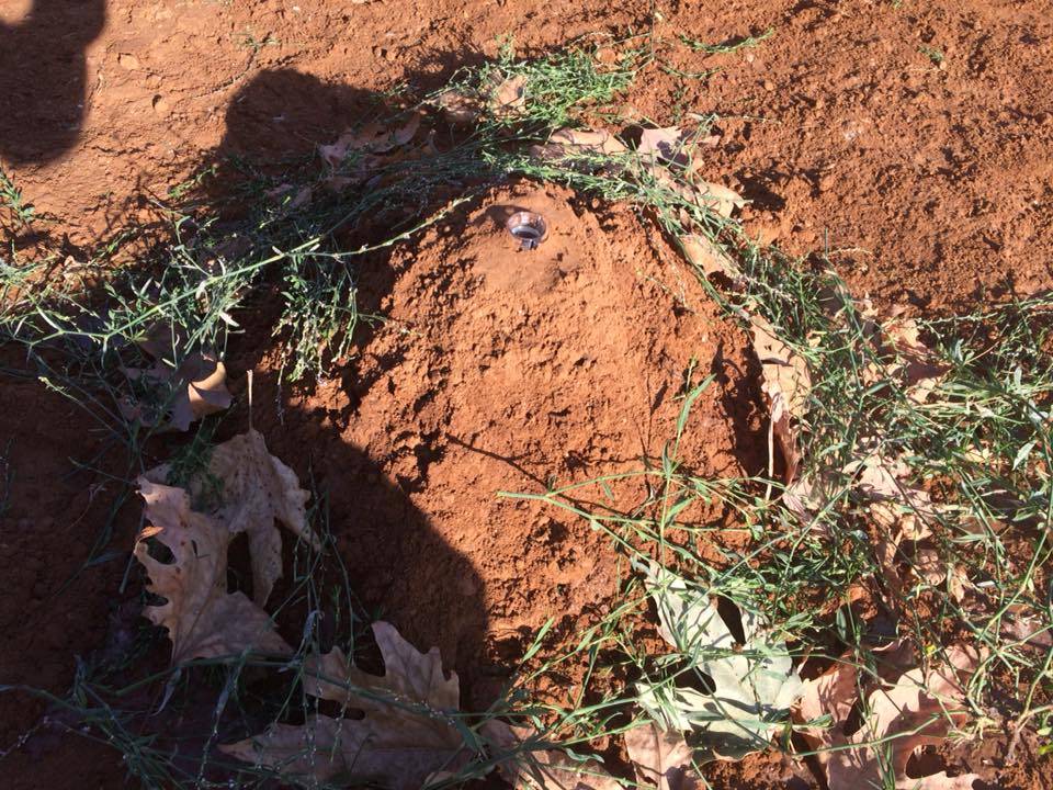 Harran Bulgurlu Köyü Resimleri 1