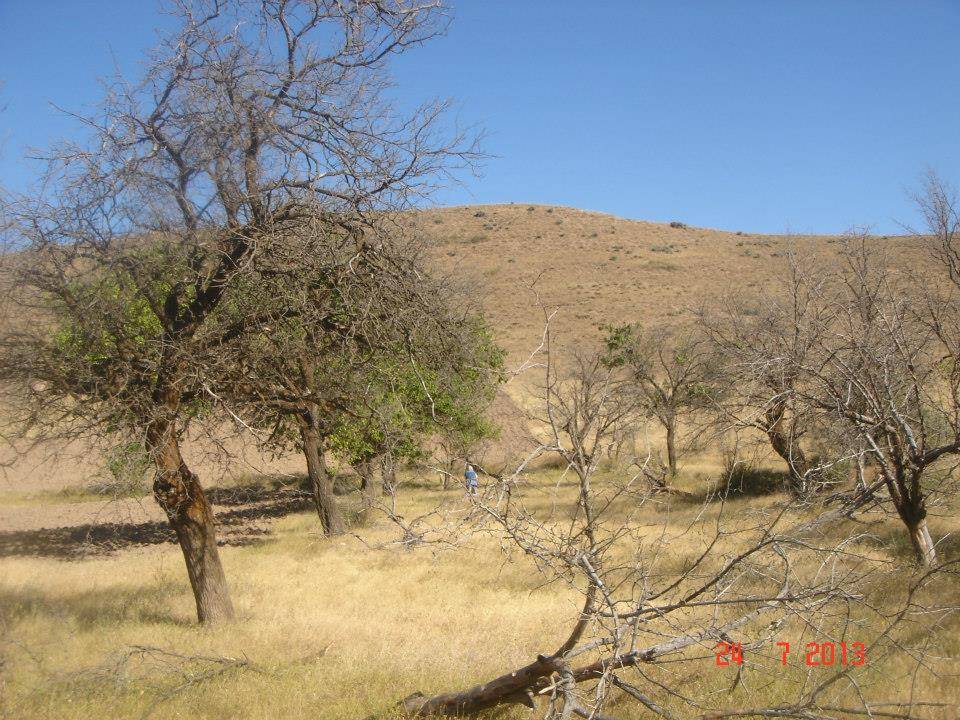 Harran Bilgili Köyü Resimleri 14