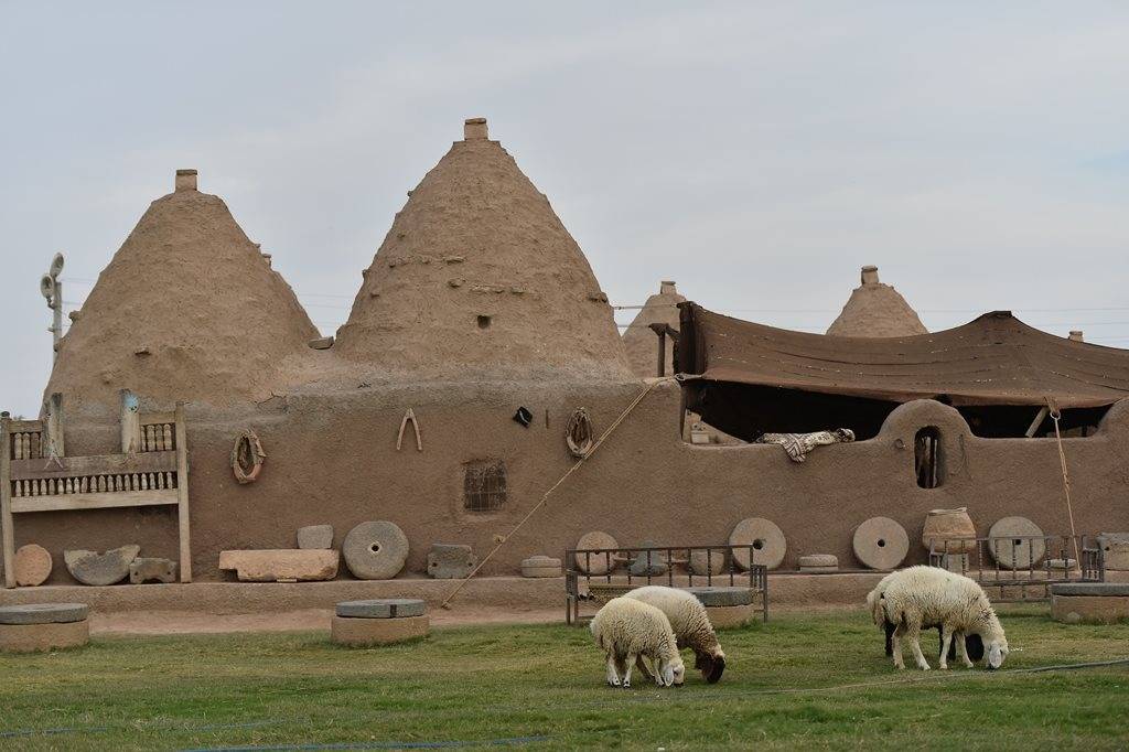 Harran Ceylangözü  Köyü Resimleri 9