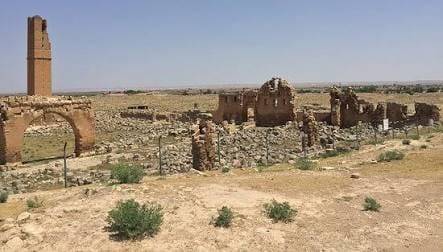 Harran Çağbaşı Köyü Resimleri 4