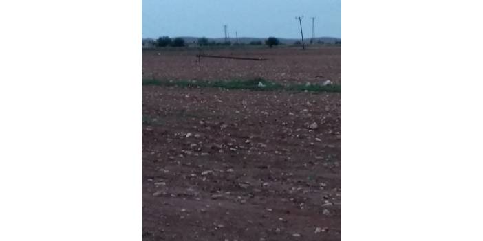 Harran Çağbaşı Köyü Resimleri
