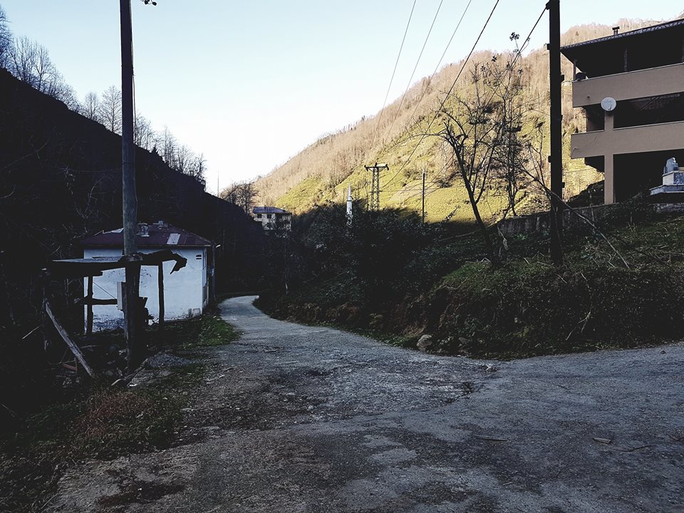 Kalkandere Esendere Köyü Resimleri 10