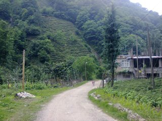 Kalkandere Esendere Köyü Resimleri 2