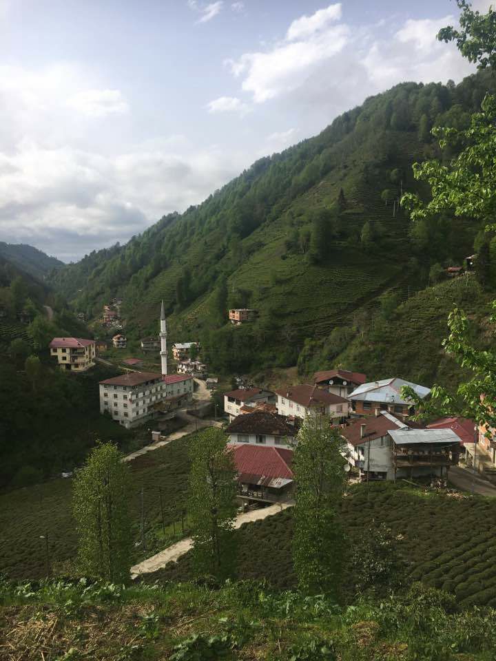 Kalkandere Esendere Köyü Resimleri 5