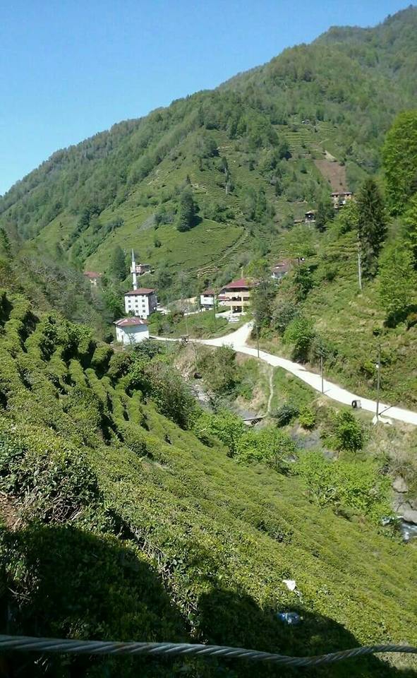 Kalkandere Esendere Köyü Resimleri 8