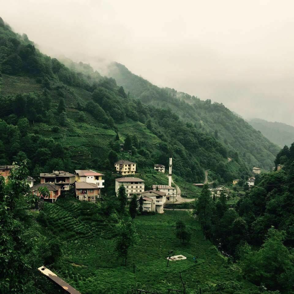 Kalkandere Esendere Köyü Resimleri 9