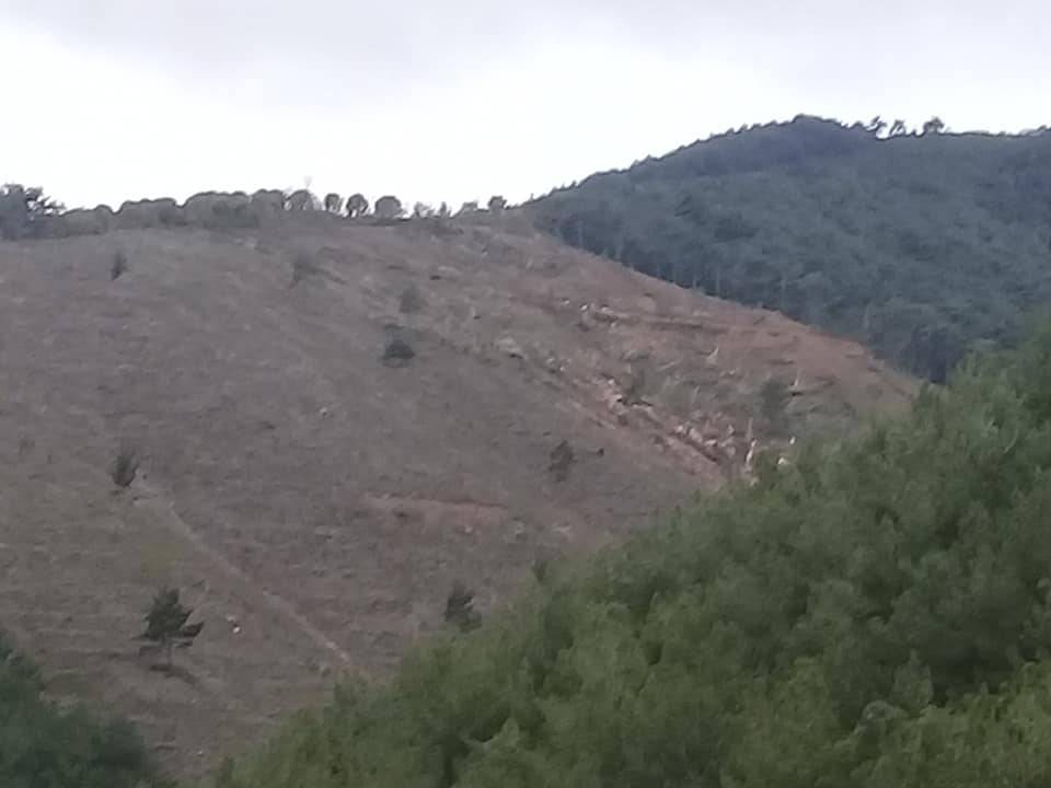 Bergama Çobanlar Köyü Resimleri 9