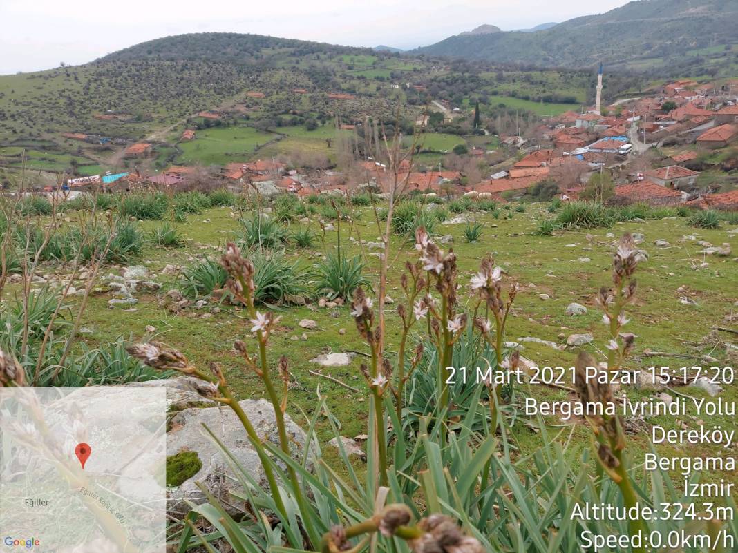 Bergama Dereköy Köyü Resimleri 5