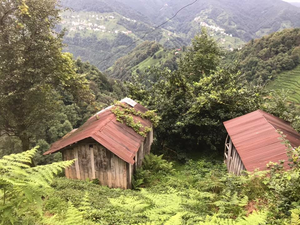 Kalkandere Esentepe Köyü Resimleri 10
