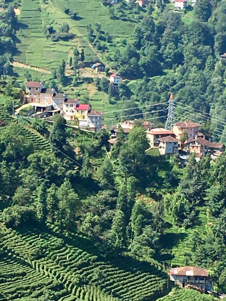 Kalkandere Esentepe Köyü Resimleri 11