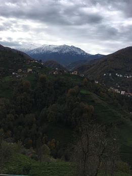 Kalkandere Esentepe Köyü Resimleri 2