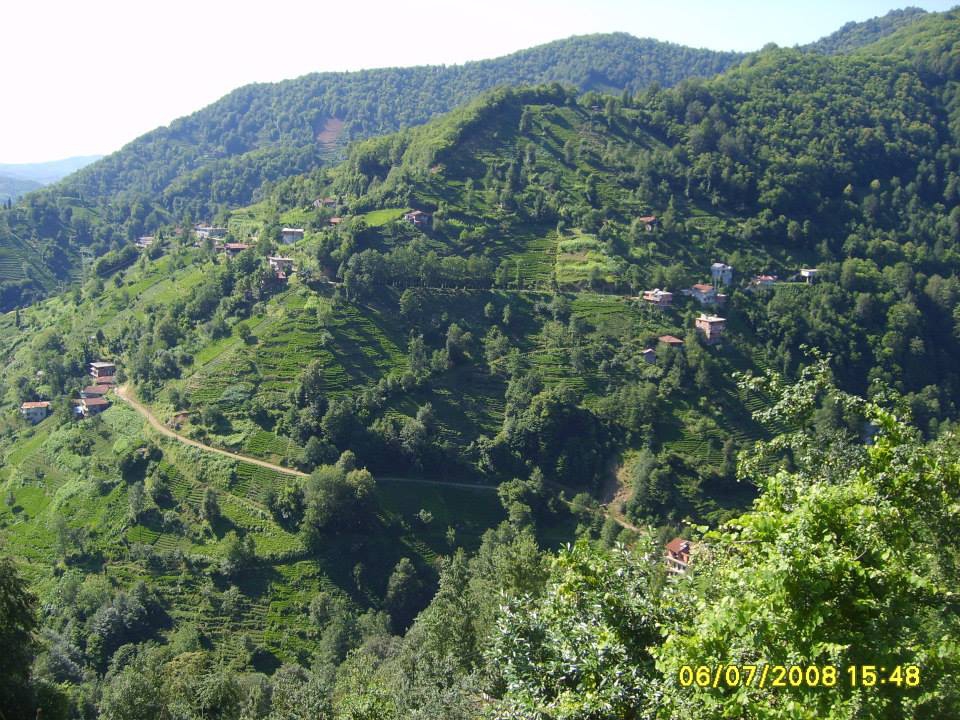 Kalkandere Esentepe Köyü Resimleri 3