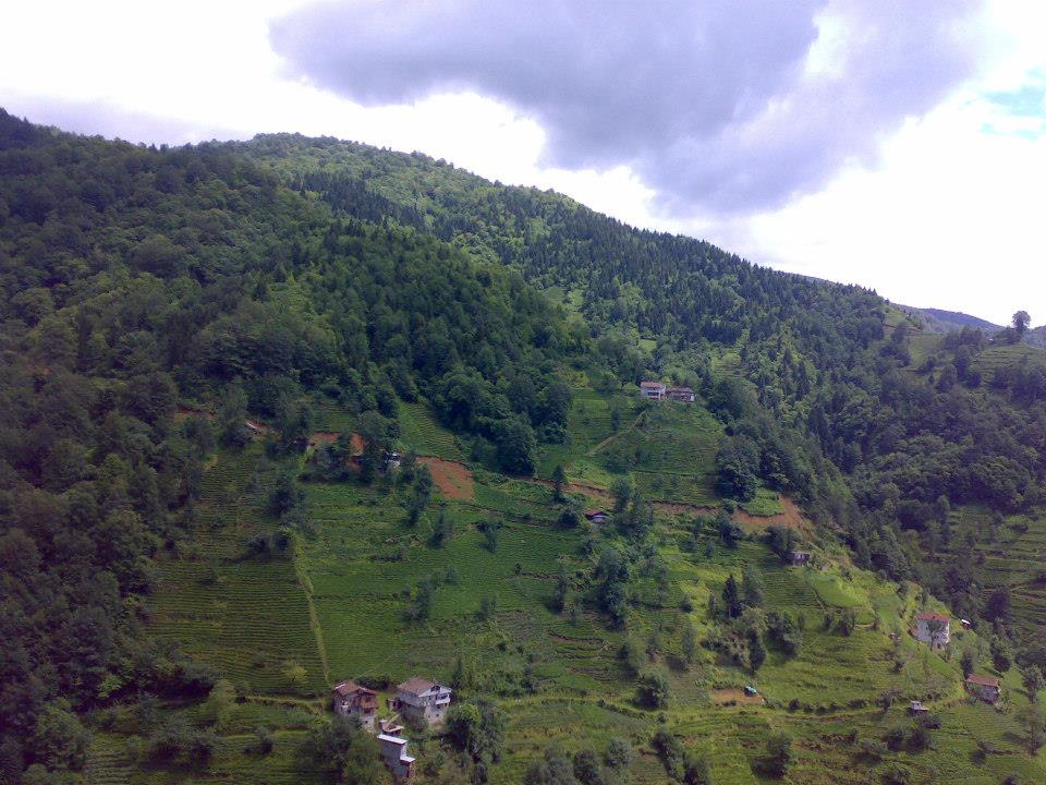 Kalkandere Esentepe Köyü Resimleri 5