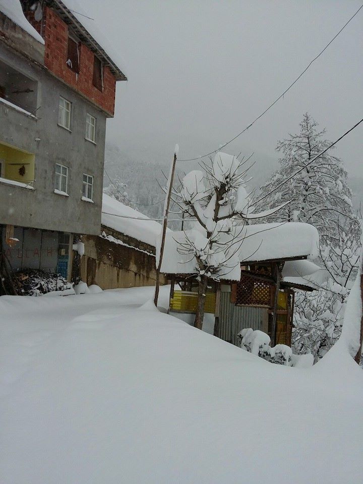 Kalkandere Esentepe Köyü Resimleri 6
