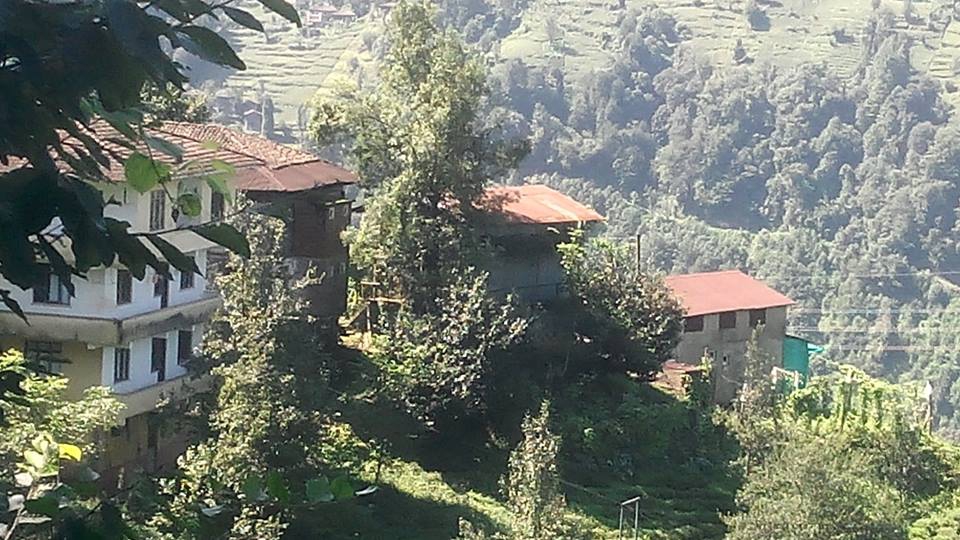 Kalkandere Esentepe Köyü Resimleri 7