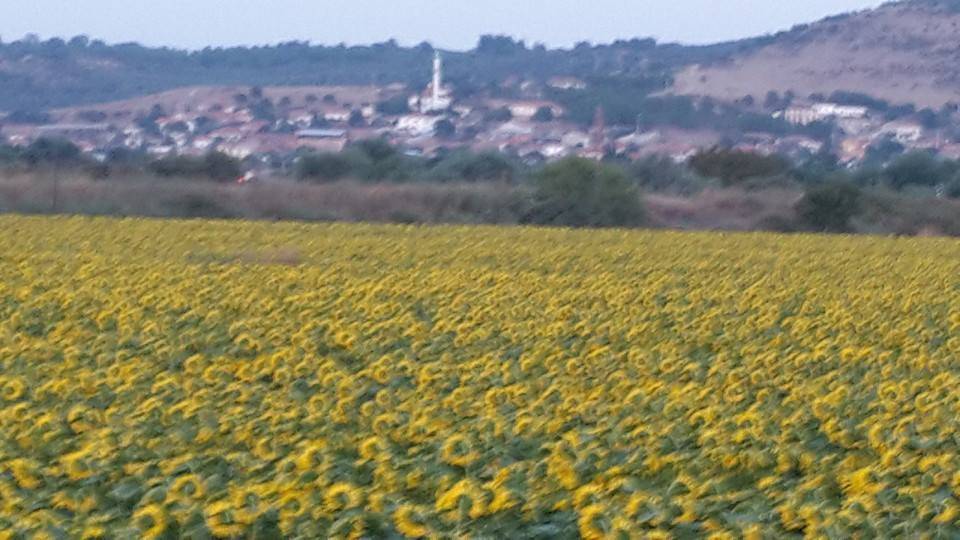 Bergama Eğrigöl Köyü Resimleri 1