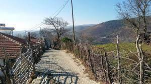 Bergama Ertuğrul Köyü Resimleri 2