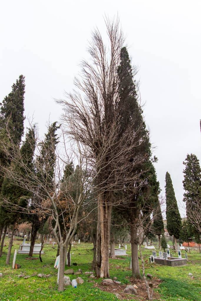 Bergama Ferizler Köyü Resimleri 3