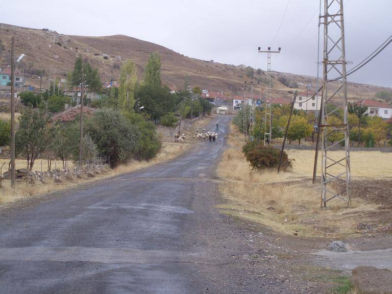 Sarıoğlan Kaleköy Köyü Resimleri 1