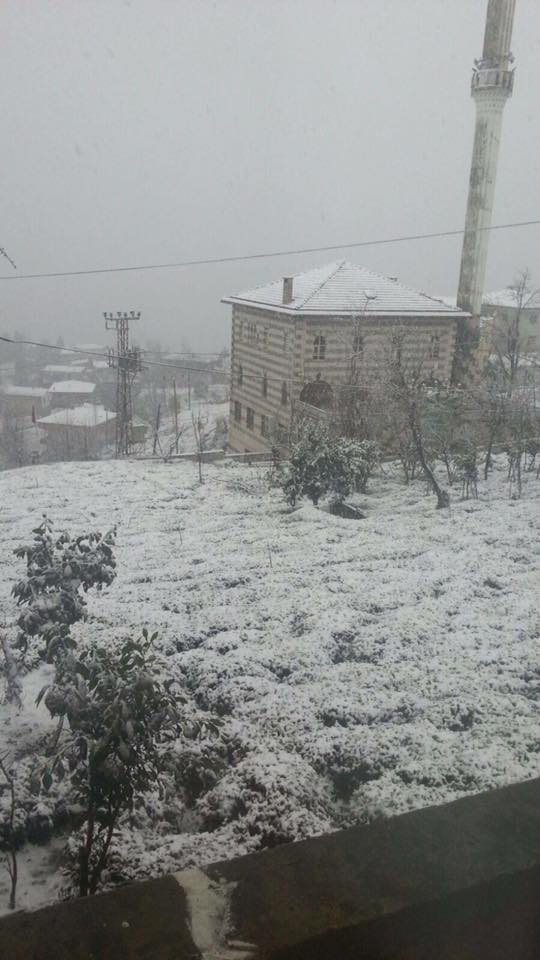 Kalkandere Geçitli Köyü Resimleri 1