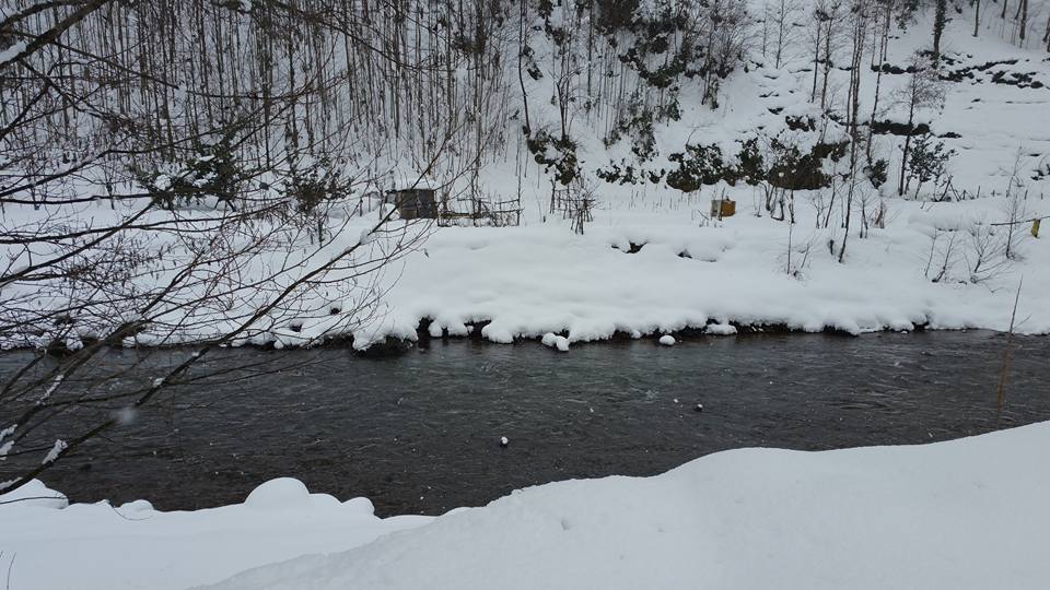 Kalkandere Geçitli Köyü Resimleri 10