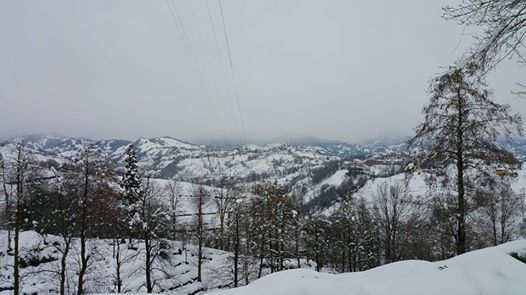 Kalkandere Geçitli Köyü Resimleri 2