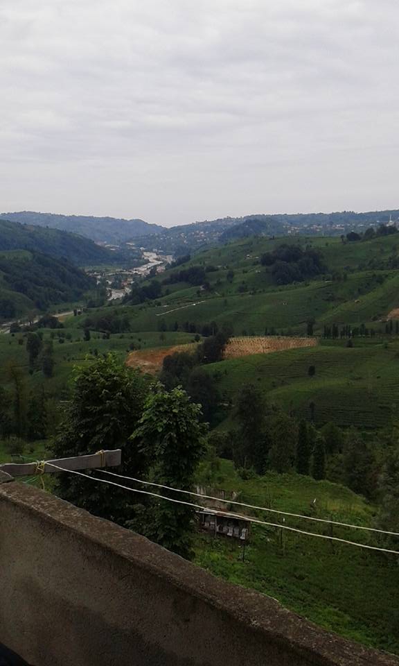 Kalkandere Geçitli Köyü Resimleri 4