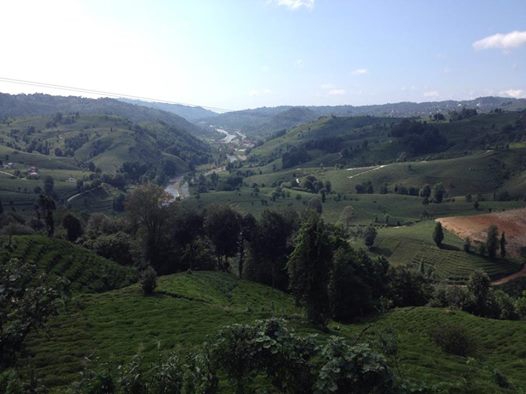 Kalkandere Geçitli Köyü Resimleri 5