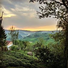 Kalkandere Geçitli Köyü Resimleri 7