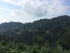 Kalkandere Geçitli Köyü Resimleri 9