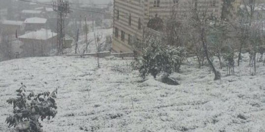Kalkandere Geçitli Köyü Resimleri
