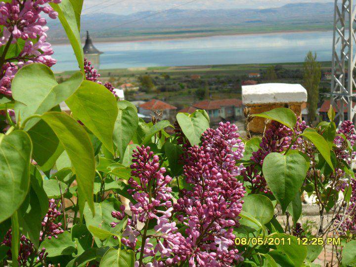 Sarıoğlan Ömerhacılı Köyü Resimleri 2