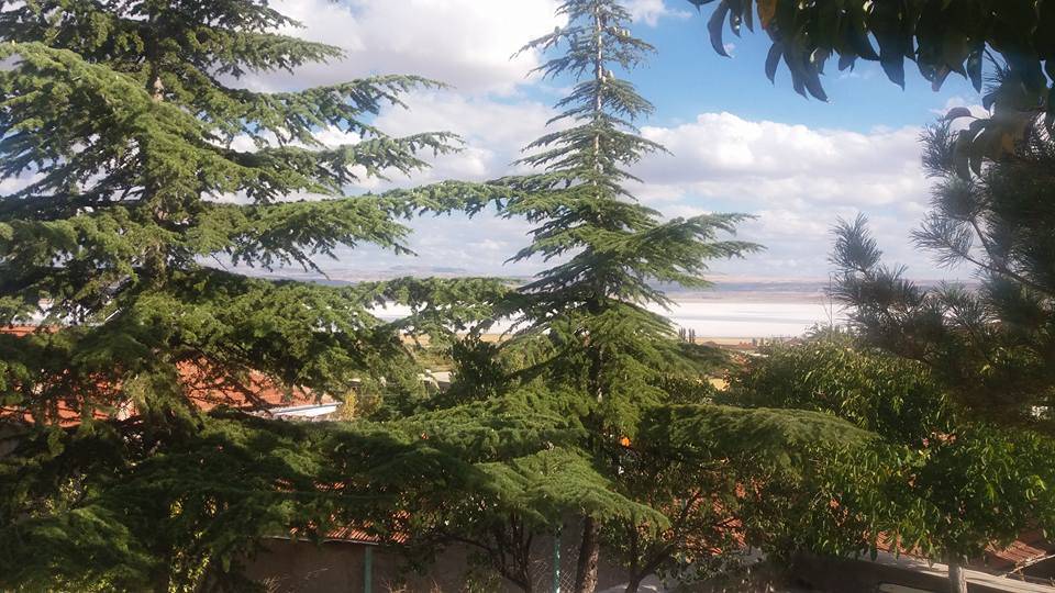 Sarıoğlan Ömerhacılı Köyü Resimleri 3