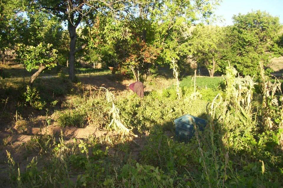 Sarıoğlan Sofumahmut  Köyü Resimleri 1