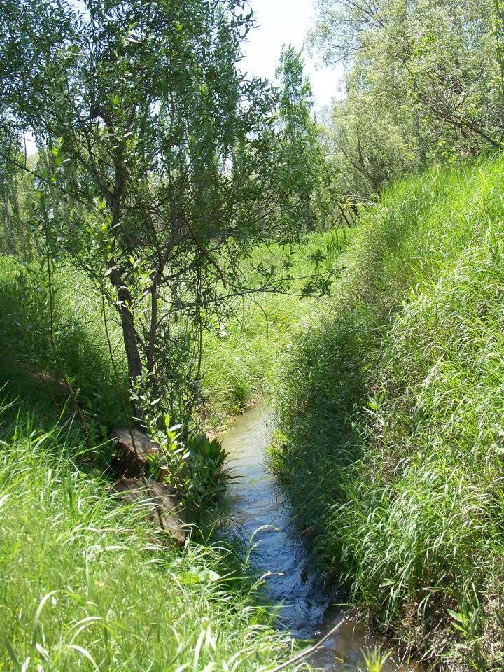 Sarıoğlan Sofumahmut  Köyü Resimleri 5