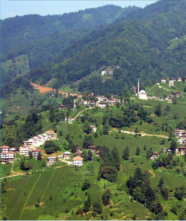 Kalkandere Hurmalık Köyü Resimleri 1