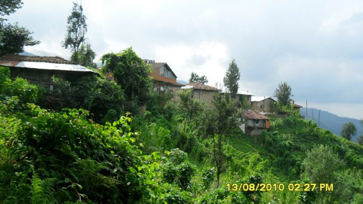 Kalkandere Hurmalık Köyü Resimleri 10