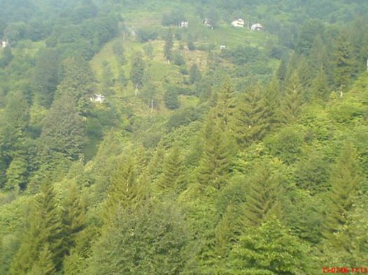 Kalkandere Hurmalık Köyü Resimleri 2